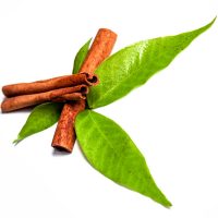 cinnamon-leaf-200x200