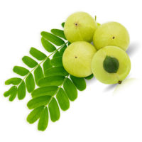 Amla